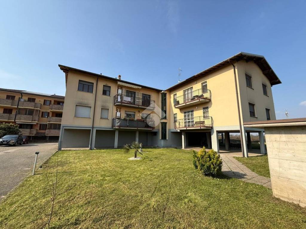 immagine annuncio 1 di 15