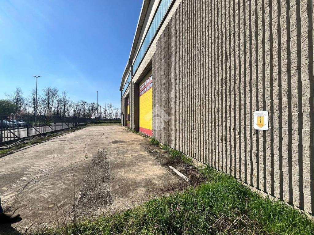 immagine annuncio 13 di 15