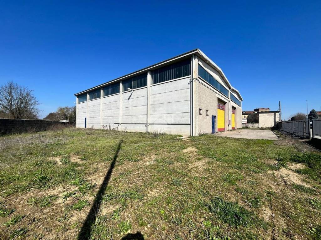 immagine annuncio 14 di 15