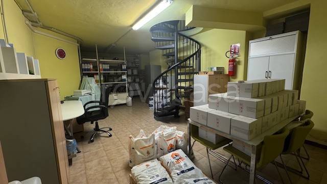 immagine annuncio 7 di 13