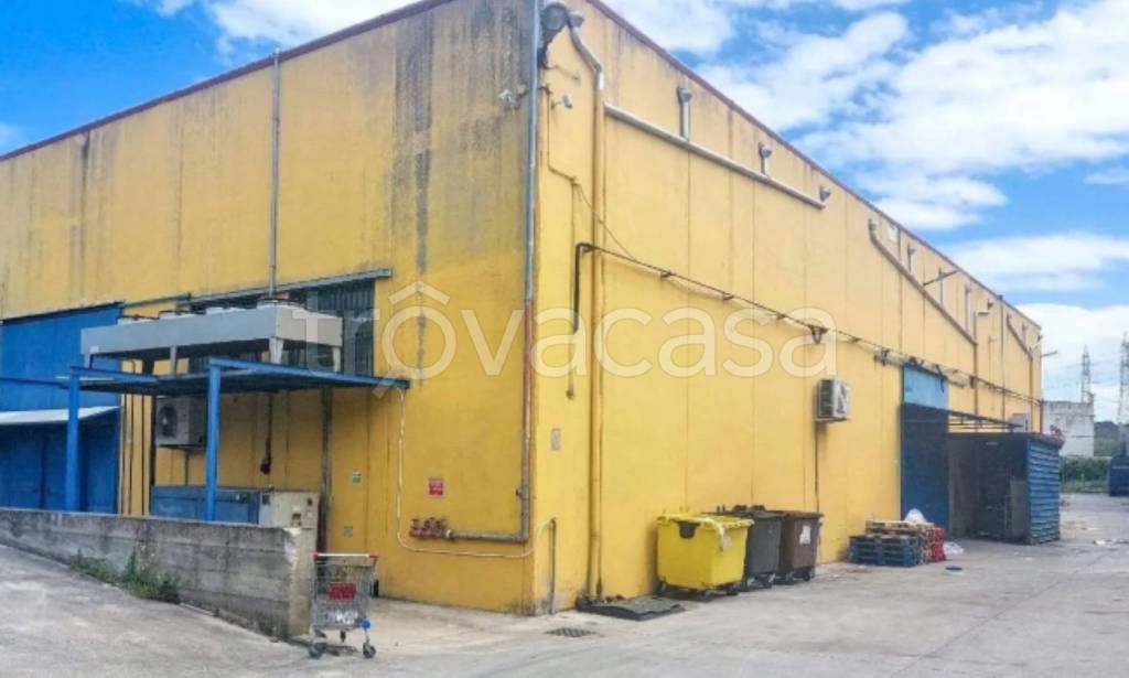 immagine annuncio 4 di 12