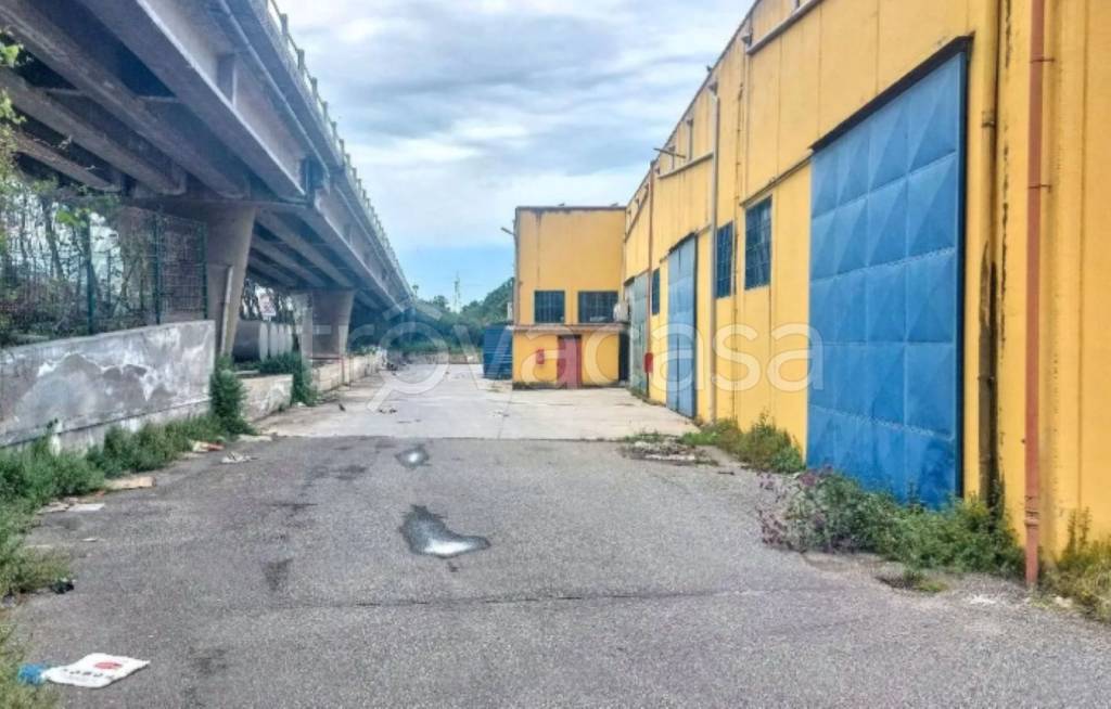 immagine annuncio 8 di 12