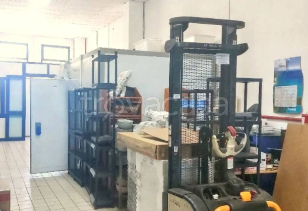 immagine annuncio 9 di 12