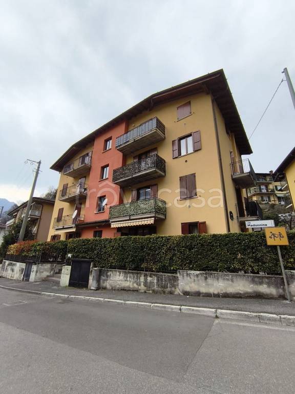 immagine annuncio 3 di 7