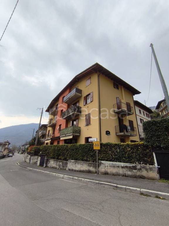 immagine annuncio 5 di 7