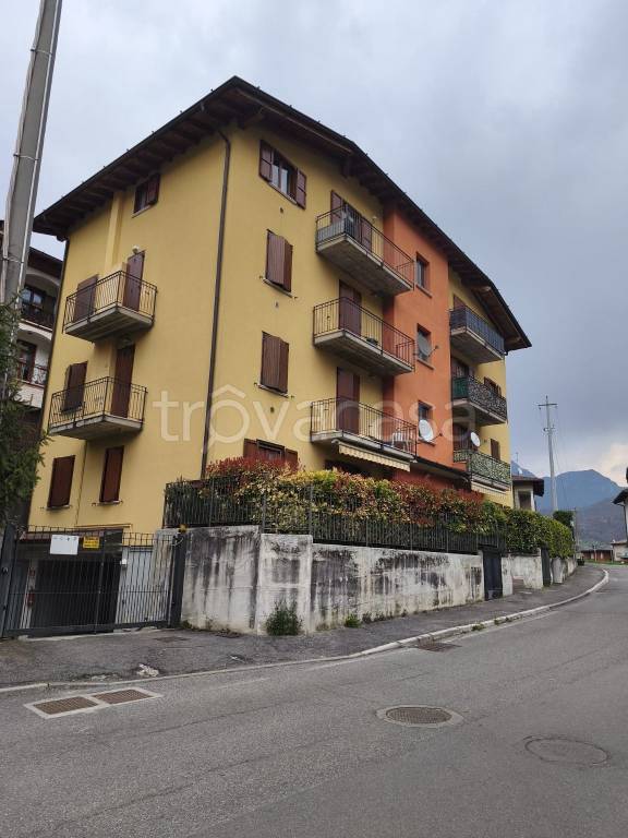 immagine annuncio 4 di 7