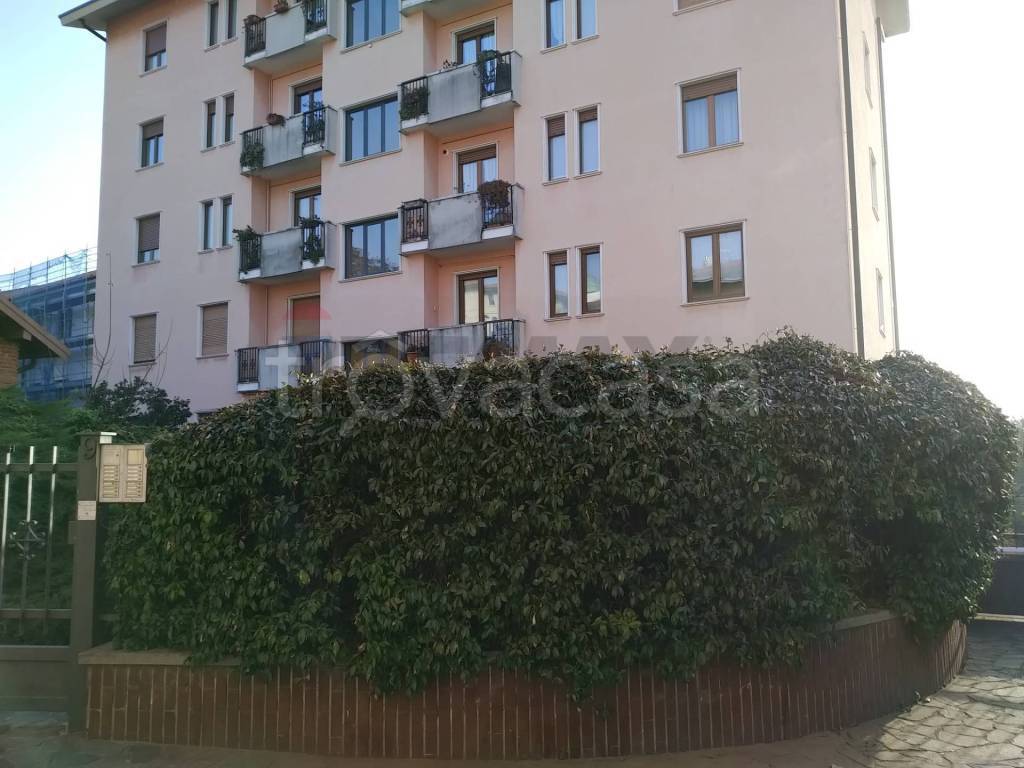 immagine annuncio 5 di 9