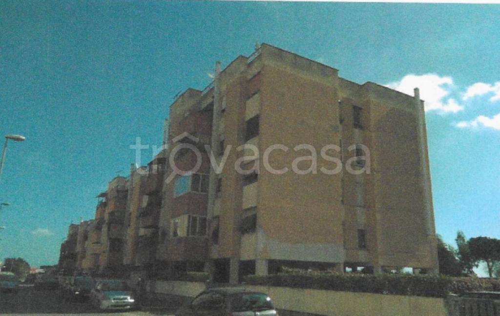 immagine annuncio 1 di 12