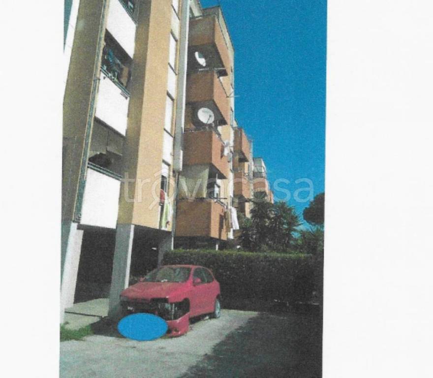 immagine annuncio 5 di 12