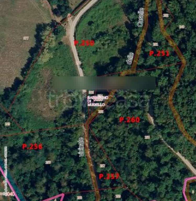 immagine annuncio 4 di 8