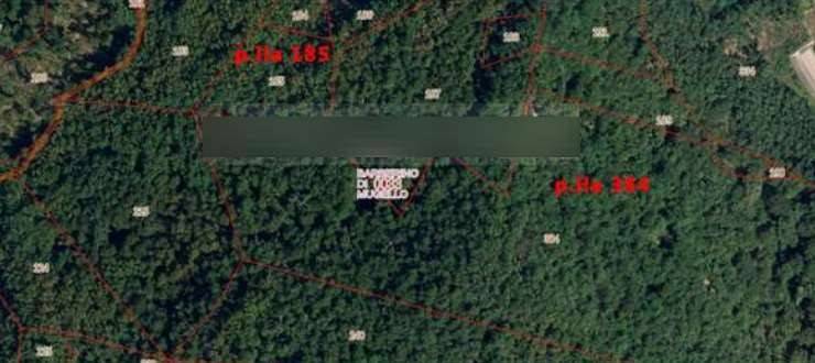 immagine annuncio 6 di 8