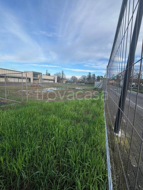 immagine annuncio 3 di 6