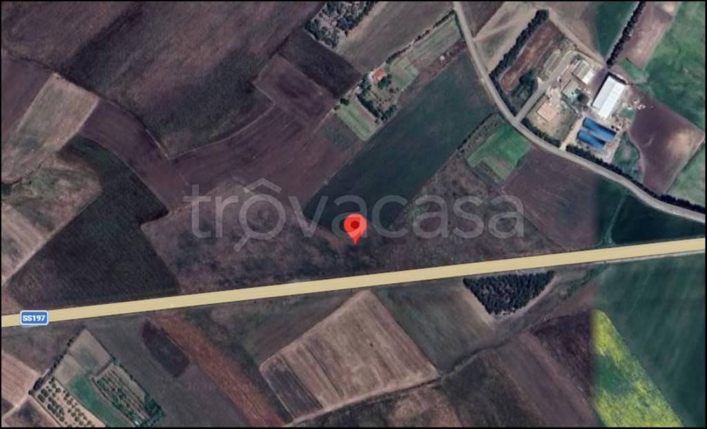 immagine annuncio 11 di 12