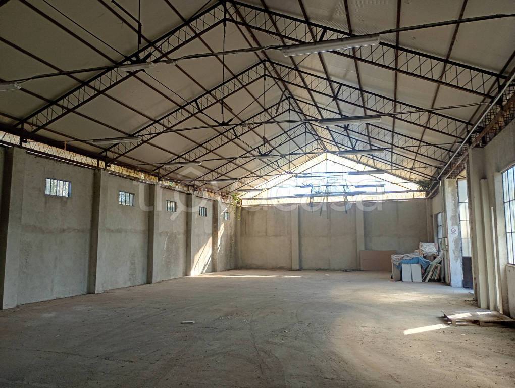 immagine annuncio 2 di 7