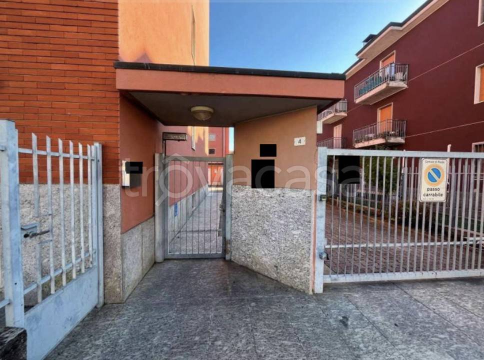 immagine annuncio 3 di 15