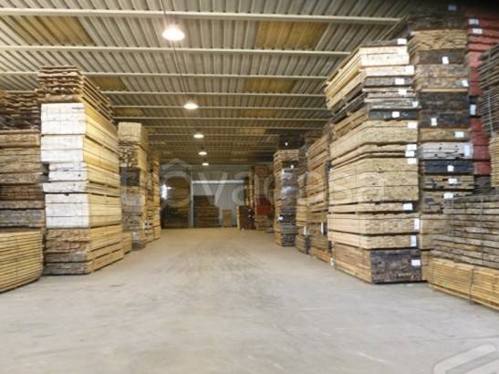 immagine annuncio 5 di 9