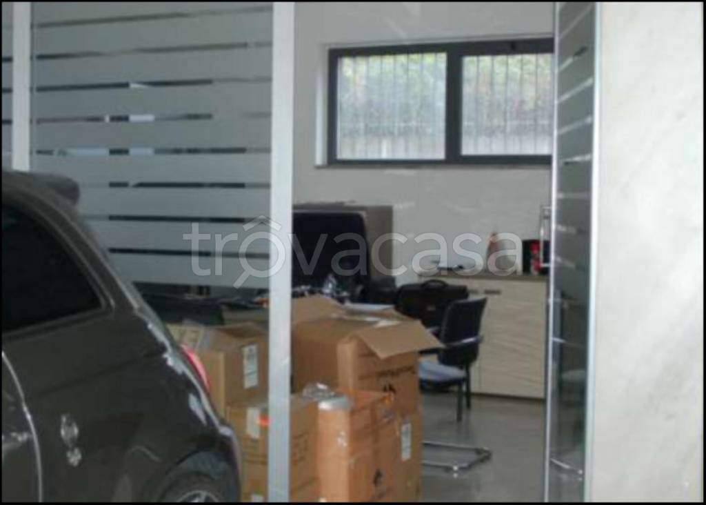 immagine annuncio 8 di 11