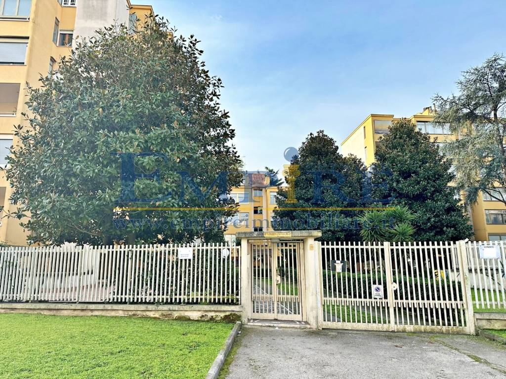 immagine annuncio 3 di 11