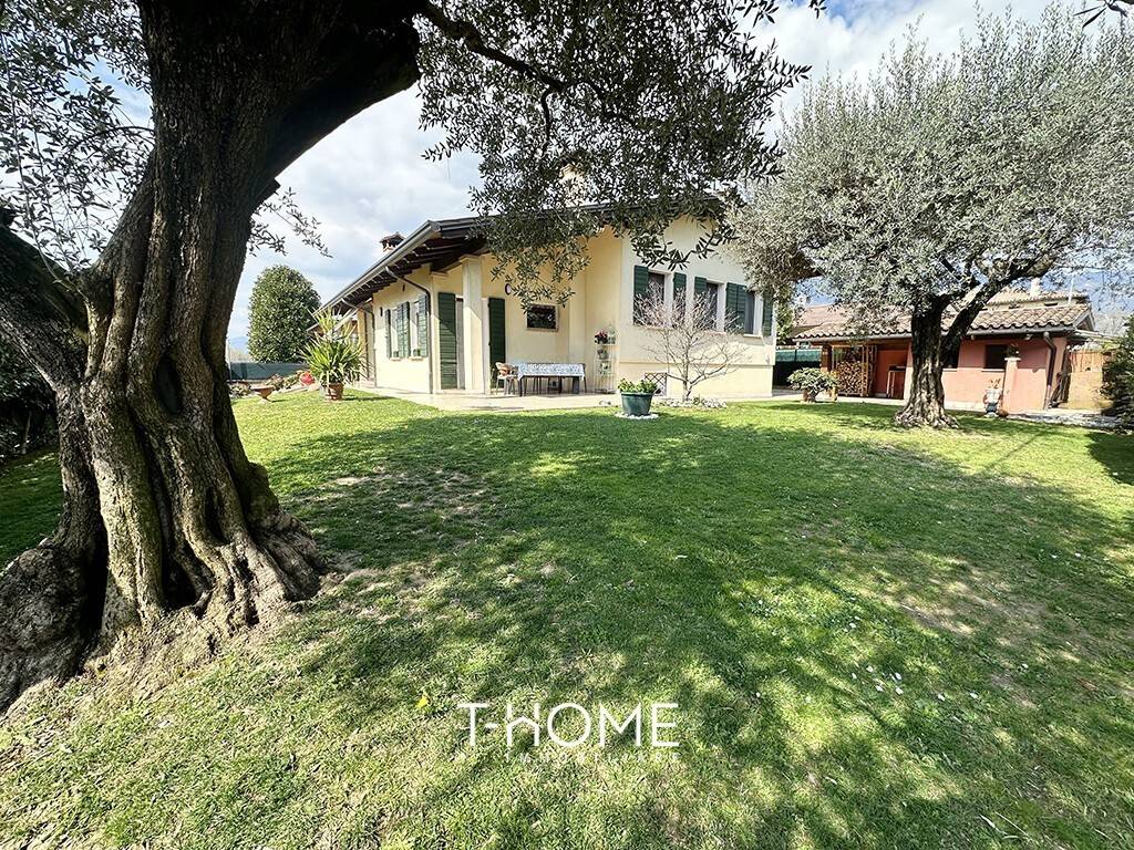 immagine annuncio 2 di 11