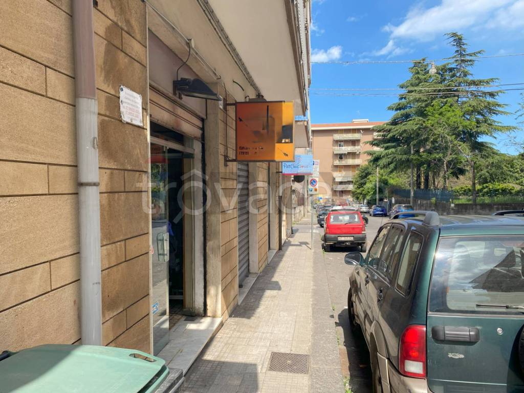 immagine annuncio 2 di 7