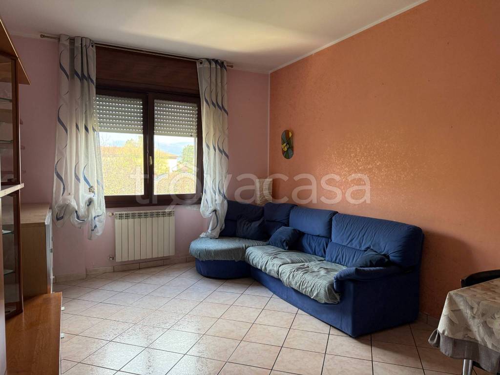 immagine annuncio 5 di 14