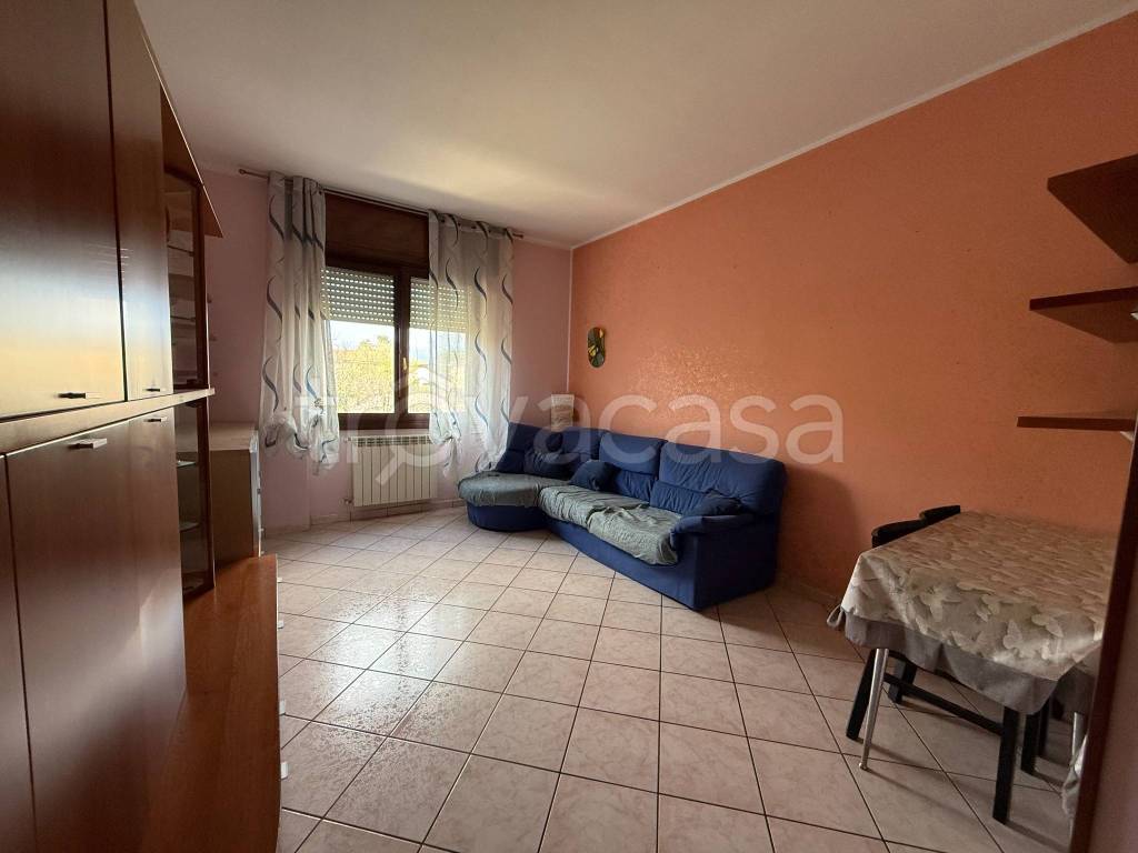 immagine annuncio 4 di 14