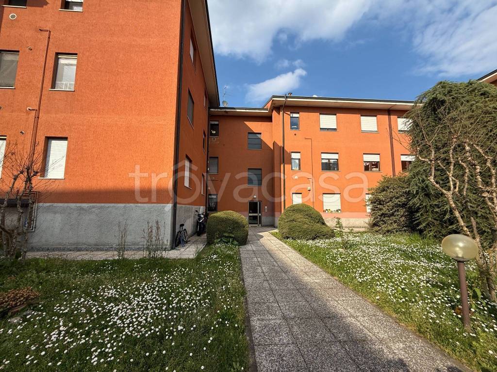 immagine annuncio 2 di 14