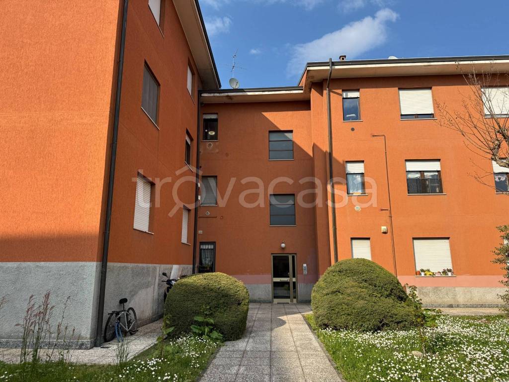 immagine annuncio 3 di 14