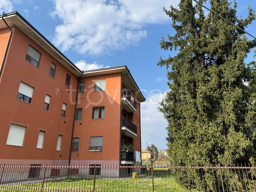 immagine annuncio 1 di 14