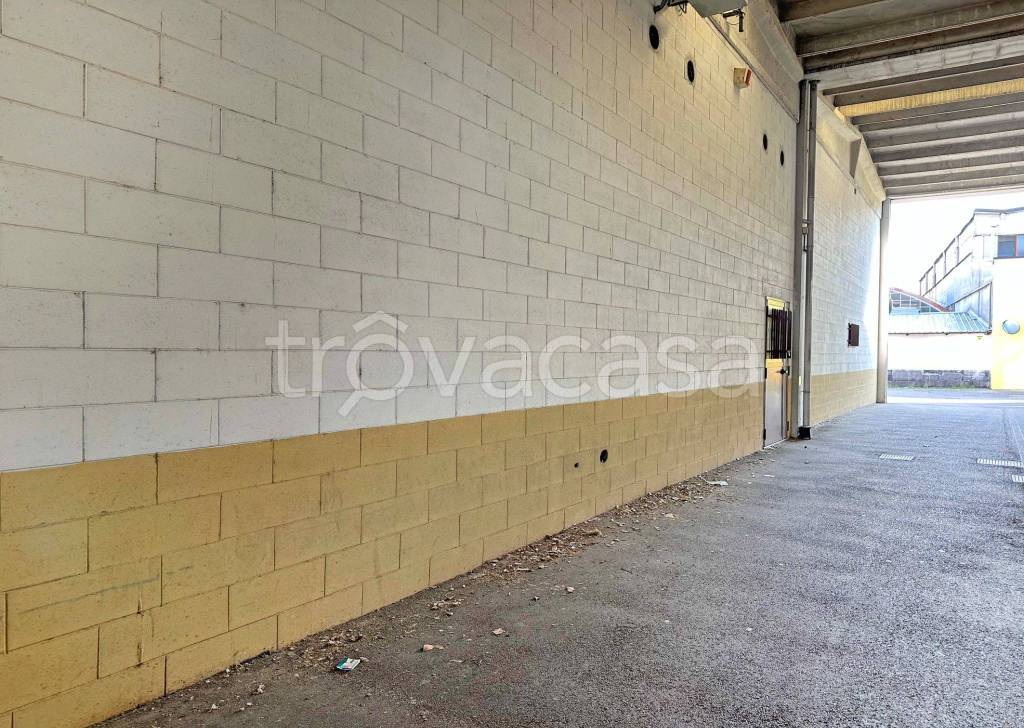 immagine annuncio 1 di 4