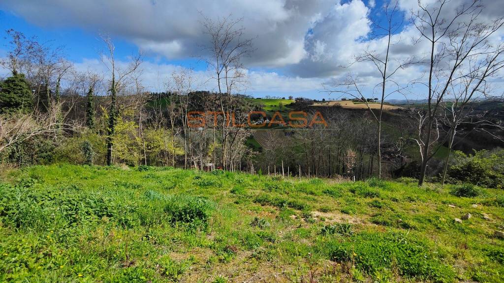 immagine annuncio 5 di 9