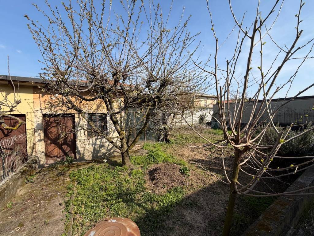 immagine annuncio 13 di 15