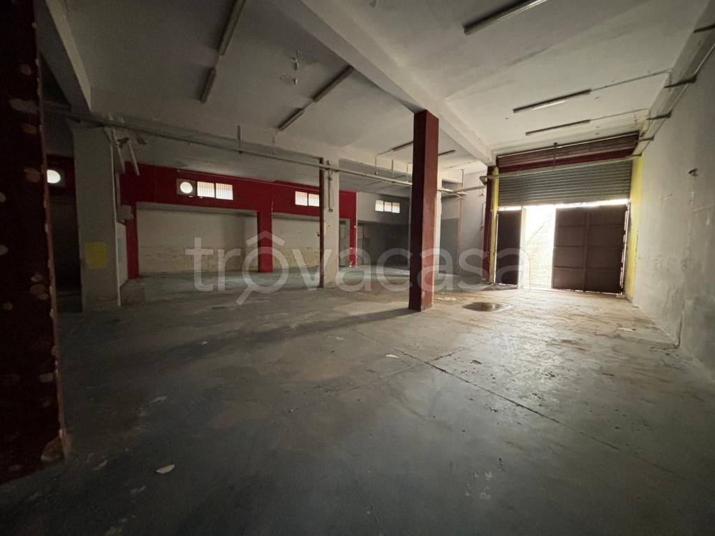 immagine annuncio 1 di 12