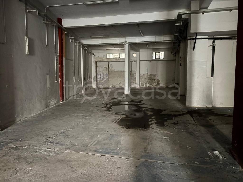 immagine annuncio 2 di 12