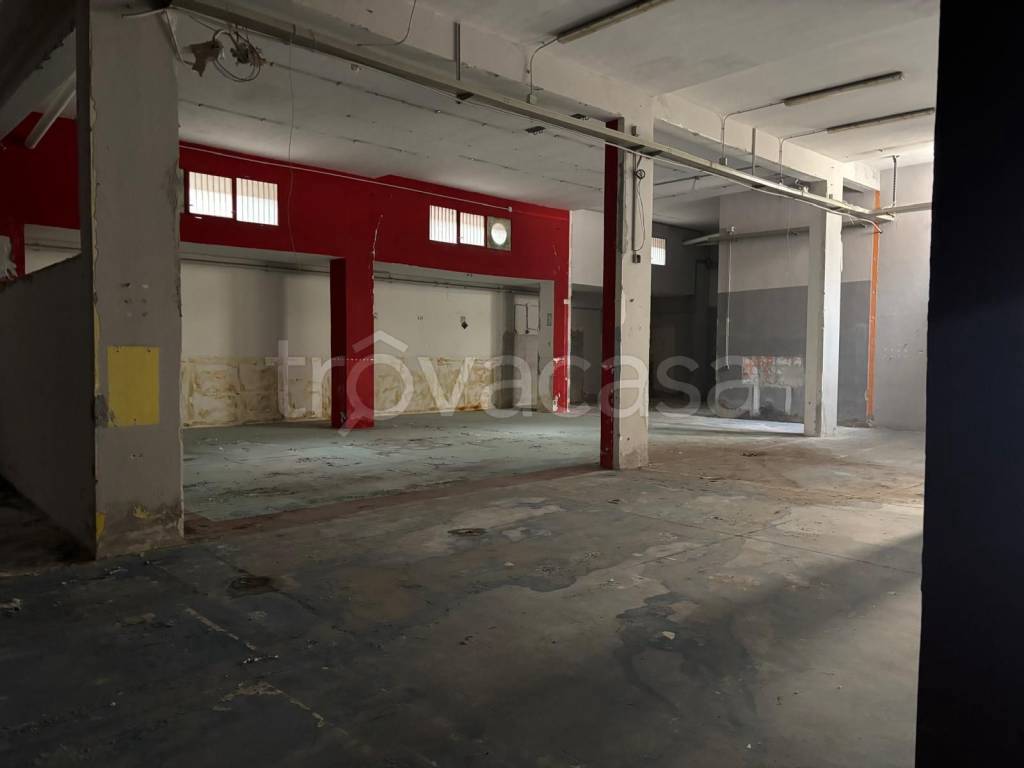 immagine annuncio 4 di 12