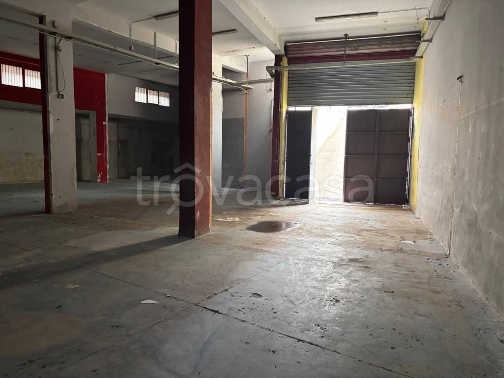 immagine annuncio 7 di 12