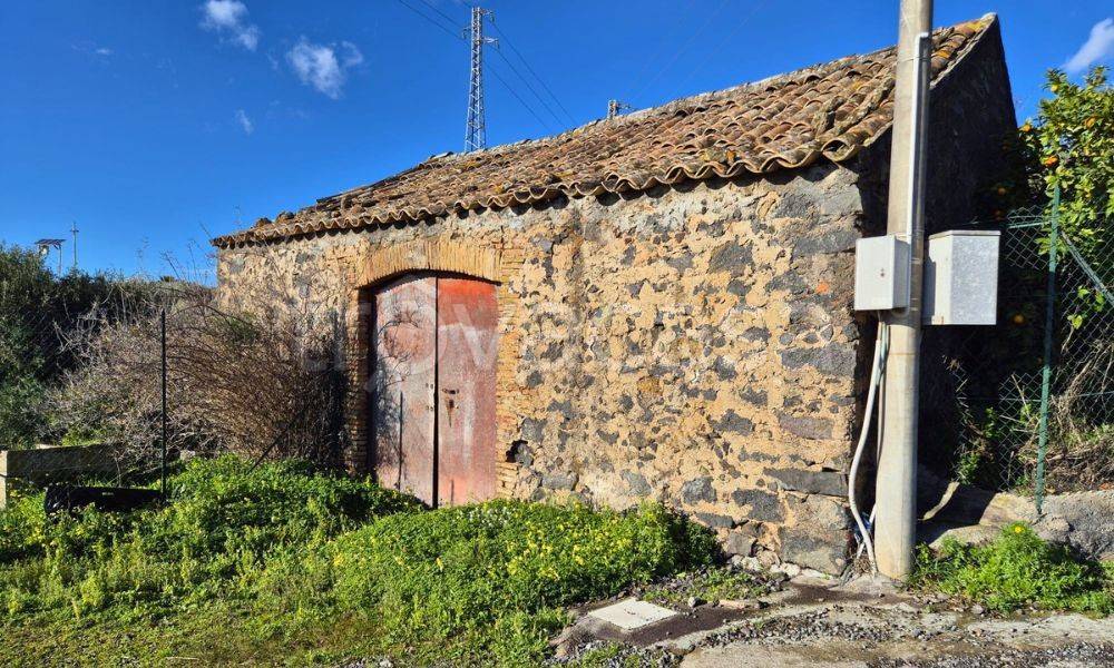 immagine annuncio 2 di 6