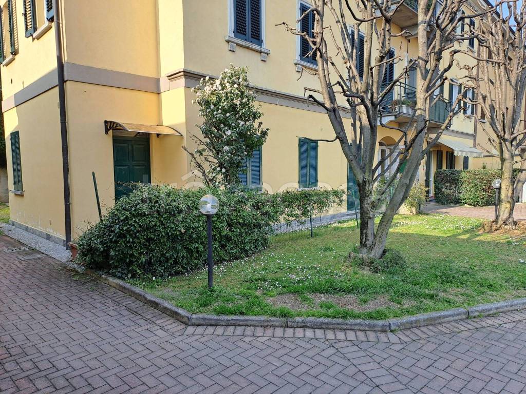 immagine annuncio 2 di 15