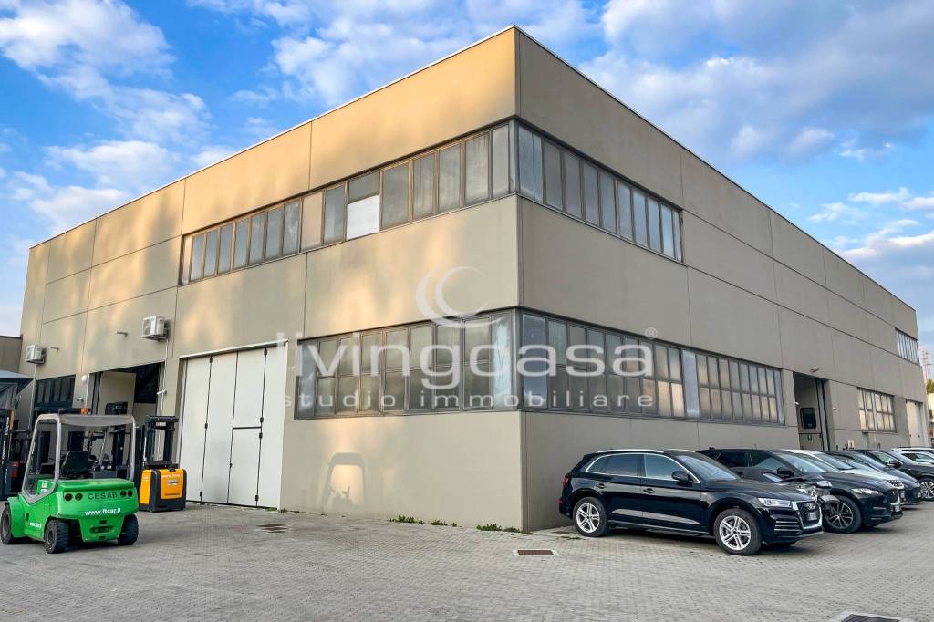 immagine annuncio 7 di 8