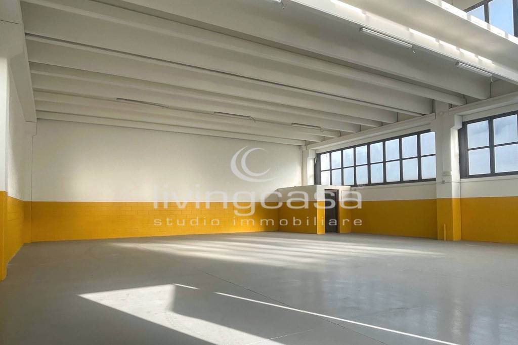 immagine annuncio 1 di 8