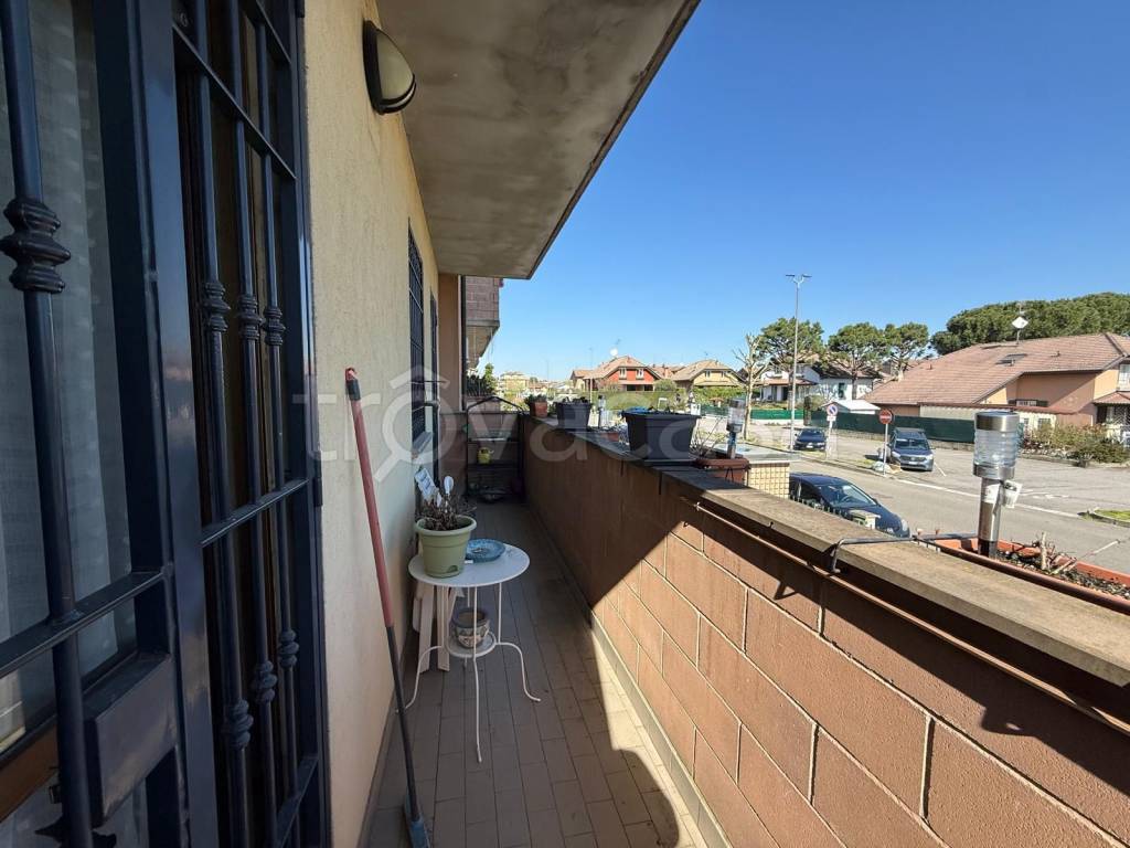 immagine annuncio 7 di 15