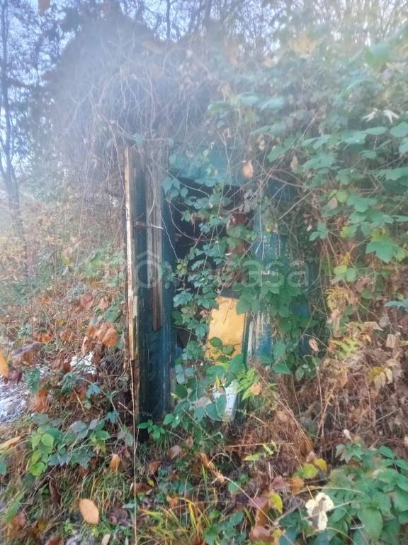 immagine annuncio 5 di 9