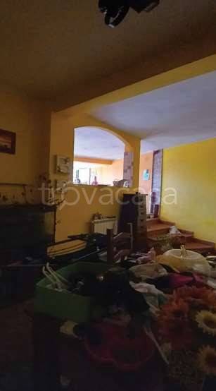 immagine annuncio 5 di 9