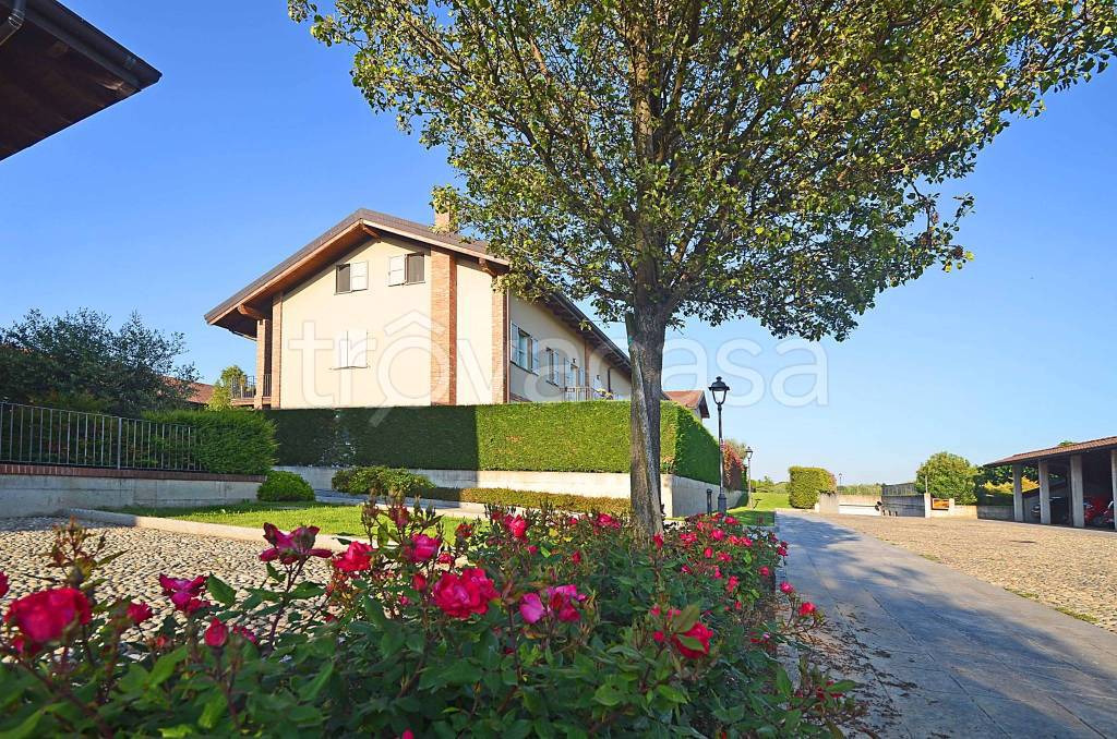 immagine annuncio 13 di 15