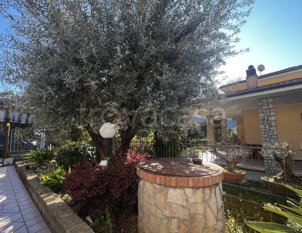 immagine annuncio 2 di 14