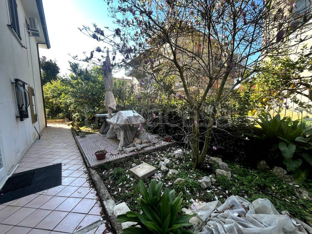 immagine annuncio 4 di 14