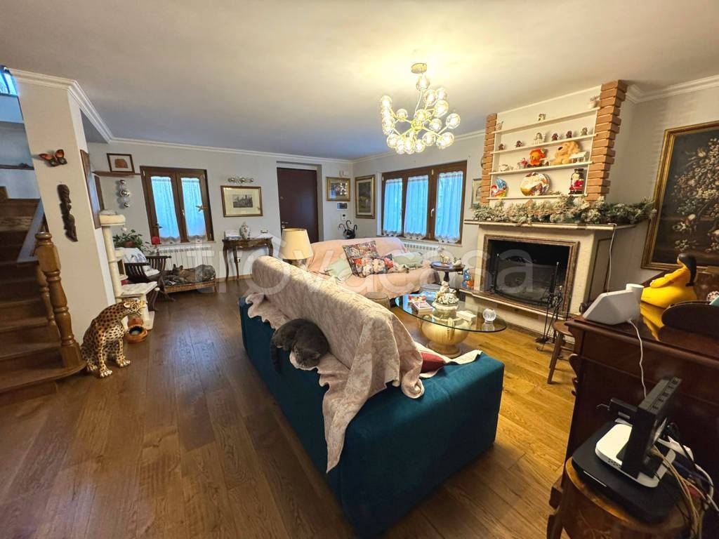 immagine annuncio 5 di 14