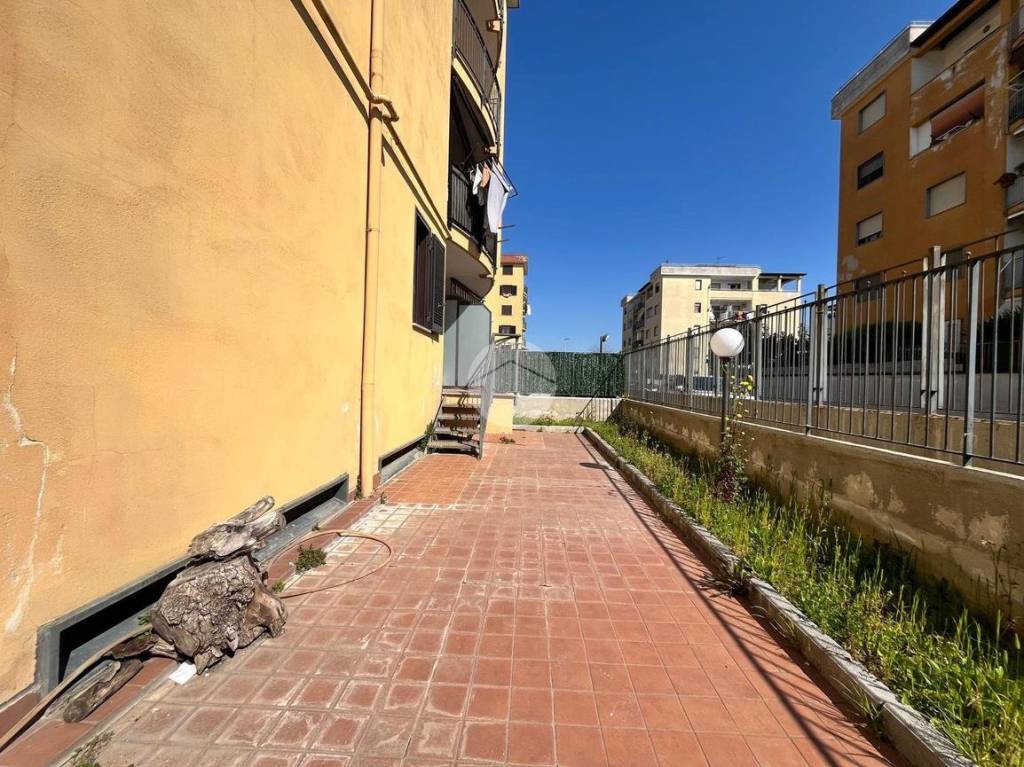 immagine annuncio 11 di 12