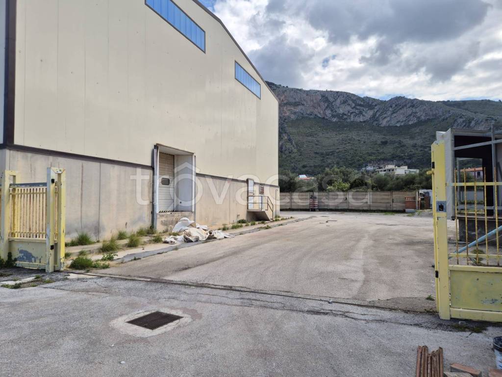 immagine annuncio 3 di 7