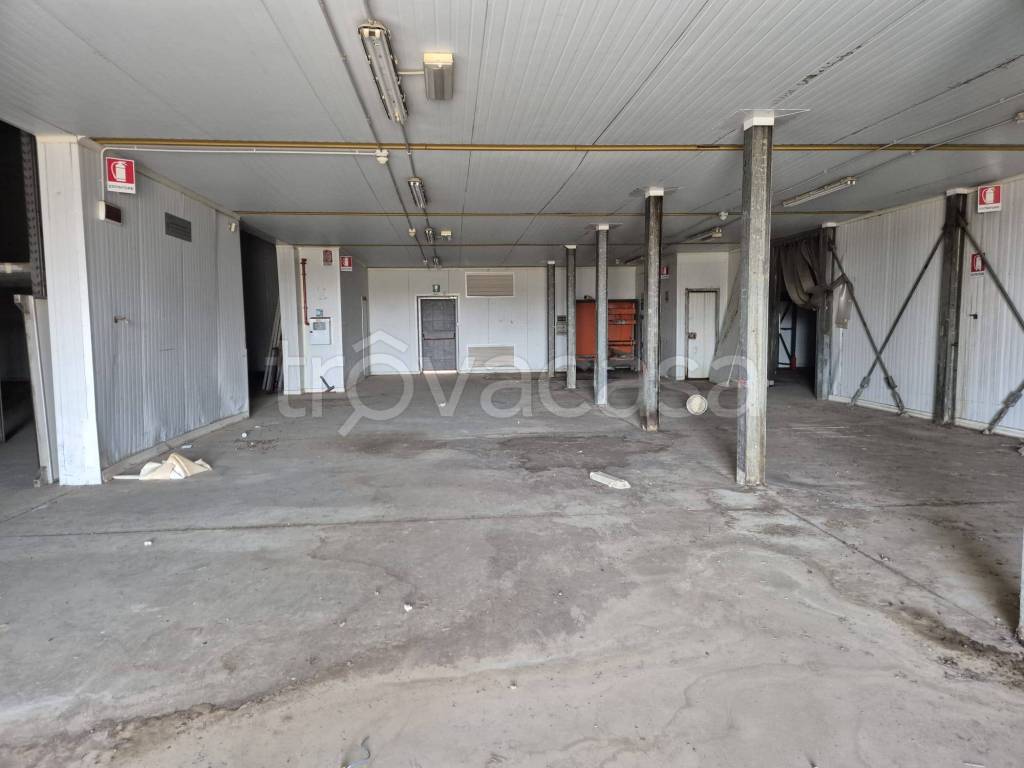 immagine annuncio 6 di 7